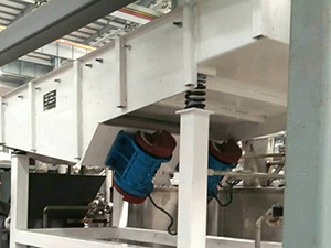 不銹鋼直線振動篩面粉篩分現(xiàn)場，產量5t/h